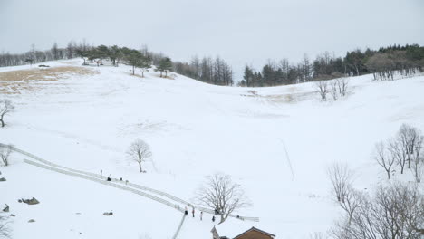 Granja-De-Ovejas-Daegwallyeong-Cubierta-De-Nieve-Durante-El-Invierno-En-Pyeongchang,-Corea-Del-Sur