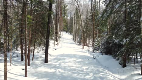 Ground-level-drone-view-of-a-snow-covered-pathway-in-a-forest-on-a-sunny-winter-day