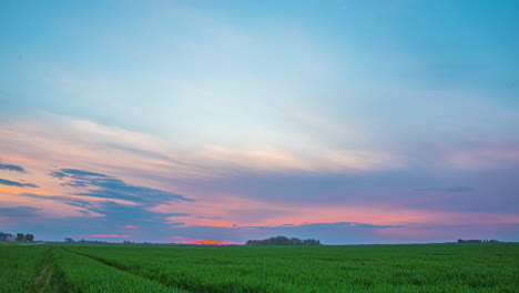 Sunset-over-rural-countryside-landscape-with-green-cultivated-fields