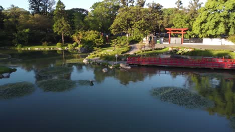Flying-Close-To-Lake-In-Unique-Japanese-Garden-Park-in-Buenos-Aires-At-Sunset-Time,-Argentina