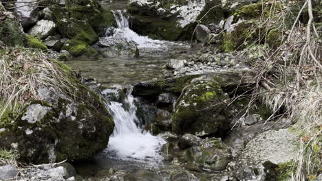 Close-up-of-a-stream-flowing-into-the-stones-with-tree-branches-Switzerland