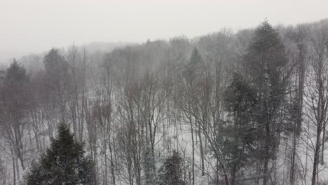 Nieve-Cayendo-Y-Soplando-Rápidamente-A-Lo-Largo-De-Un-Bosque-En-Una-Ladera-En-Canadá