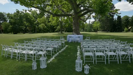 Hochzeitslocation-Mitten-In-Einem-Großen-Park-Unter-Einem-Riesigen-Baum