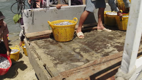 Mui-Ne-fishermen-load-fresh-catch-onto-transport-truck-in-slow-motion