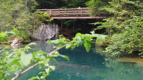 wooden-footbridge-over-crystal-clear-water-of-blausee-alpine-lake-in-pine-trees-forest,-Kandersteg---Switzerland