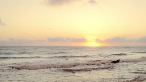 Sea-waves-splashing-sand-seashore-at-cold-morning-sunrise