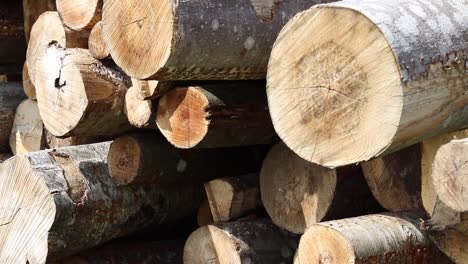 Close-up-panning-shot-of-the-raw-pile-of-logs-at-the-login-yard