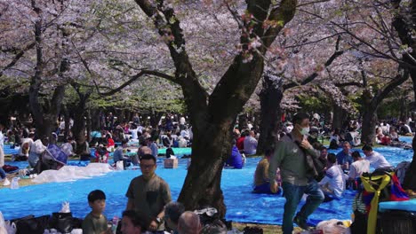 Japanische-Menschenmengen-Feiern-Das-Ende-Der-Sperrbeschränkungen-Mit-Einer-Blumenschauparty