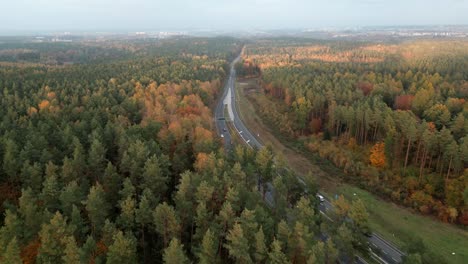 A-beautiful-autumn-forest-with-a-road-in-the-middle,-where-cars-drive,-seen-from-a-bird's-eye-view
