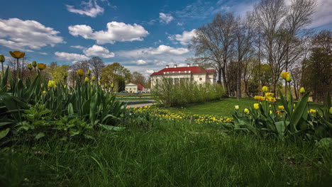Pakruojis-residential-manor-in-Lithuania-with-blooming-colorful-yellow-flowers-and-clouds-moving-in-blue-sky