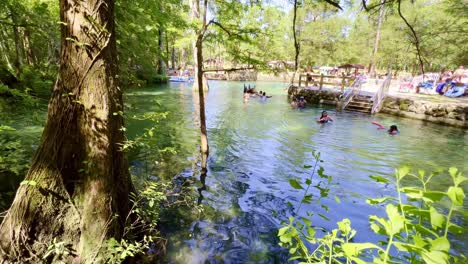 Wunderschöne-Ponce-De-Leon-Springs-In-Florida