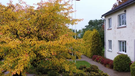 Privathaus-Mit-Lettland-Flagge-Und-Goldenem-Herbstbaum,-Luftaufnahme