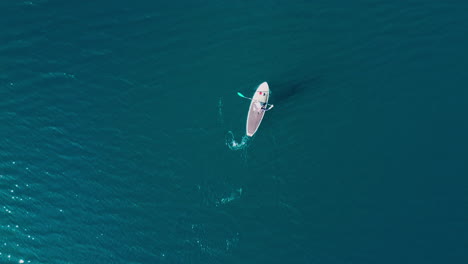 Bird's-eye-view-drone-shot-of-a-paddle-boarder-on-a-lake-at-Kai-Iwi-Lake,-New-Zealand