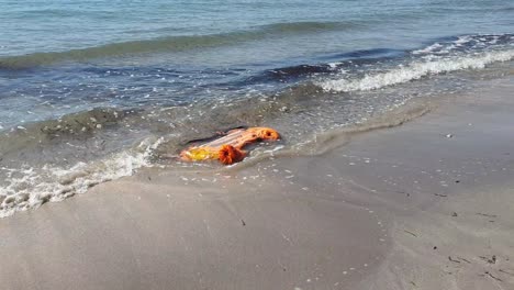 Bright-orange-debris-washed-up-onto-sandy-beach-from-the-ocean-on-a-remote-tropical-island-destination