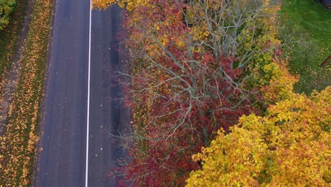 Countryside-asphalt-road-and-vibrant-autumn-colored-trees,-aerial-view