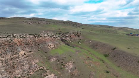 Aerial-View-Of-Flock-Of-Sheeps-Running-Through-Hills-Of-Georgian-Rural-Mountains