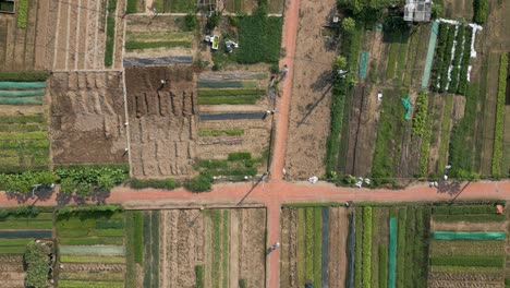 Overhead-flight-over-farm-with-dirt-path-and-people-wearing-traditional-hats-in-Vietnam
