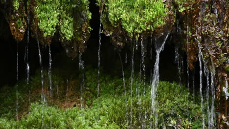 Wasserfall-Im-Wald-Im-Frühling