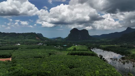 Üppiger-Mangrovenwald-In-Ao-Nang,-Bezirk-Mueang-Krabi,-Krabi,-Thailand