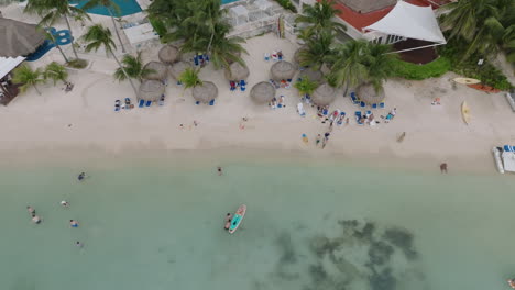 A-Stunning-High-Angle-Drone-Shot-of-a-Vast-Group-Enjoying-a-Sunny-Day-at-the-Beach,-Beneath-a-Majestic-Palm-Trees,-with-a-Crystal-Clear-Turquoise-Sea-and-Coral-Reefs-in-the-Background