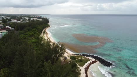 Aerial-shot-circling-over-the-coastline-of-a-Barbados-beach-on-an-overcast-day