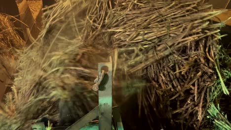Sugarcane-being-dropped-into-the-crushing-machine-at-a-Sugar-Factory-in-Sindh,-Pakistan