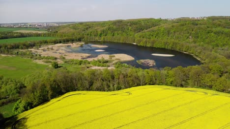 Forest-pond-in-summer-nature-Nezmar,-Czech-Repuplic-4K