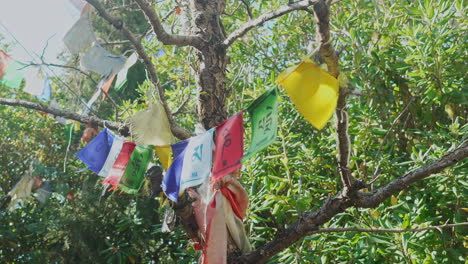 Las-Banderas-De-Oración-Budistas-Atadas-A-Un-árbol-Sagrado-Se-Ven-Magníficas-Mientras-El-Sol-Arroja-Sus-Rayos-Sobre-Ellas