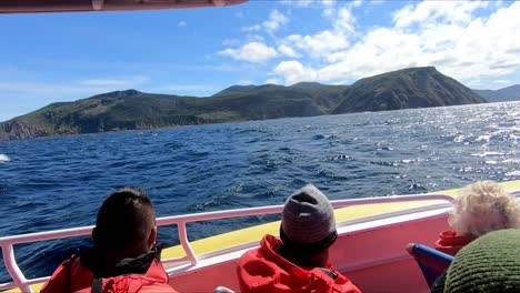 Bruny-Island,-Tasmania,-Australia---15-March-2019:-Passengers-on-boat-looking-and-photographing-an-albatross-off-Bruny-Island-Tasmania