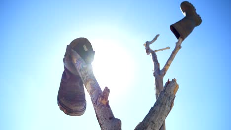 Rubber-boots-hanging-on-tree-branches-through-which-sunlight-shines