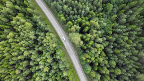 Following-a-car-from-above-in-Swedish-forest