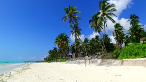 Sehr-Schöner-Paradiesischer-Strand-Mit-Weißem-Sand-Für-Einen-Romantischen-Urlaub-Unter-Den-Kokospalmen-In-Sansibar