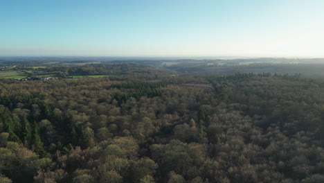 Flying-over-a-forest-canopy-in-the-British-countryside