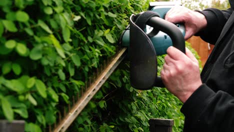 Gardener-trimming-garden-hedges-with-electric-power-shears-close-up-4k-shot-slow-motion