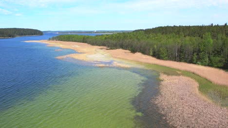 A-lake-with-green-clear-water-and-a-yellow-reedy-shore,-Aerial-Shot
