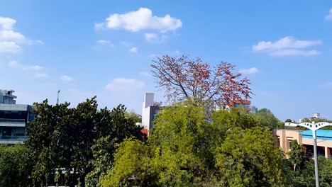 Aspecto-Verde-De-La-Ciudad-Con-Estación-De-Metro-Por-La-Mañana-Desde-Un-ángulo-Plano