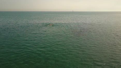 AERIAL-MOVING-FORWARD.-Man-swimming-in-ocean