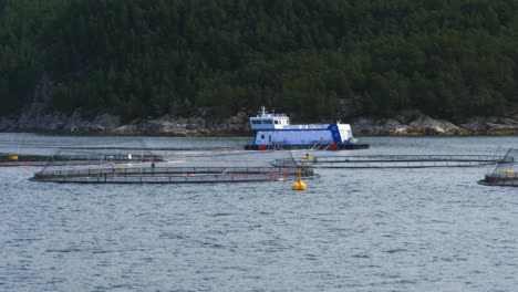 A-tender-ship-moored-at-an-Atlantic-Salmon-farm-in-a-Norwegian-fjord
