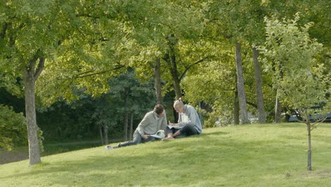A-young-couple-studying-on-a-grassy-knoll-with-nearby-trees-on-a-beautiful-sunny-day