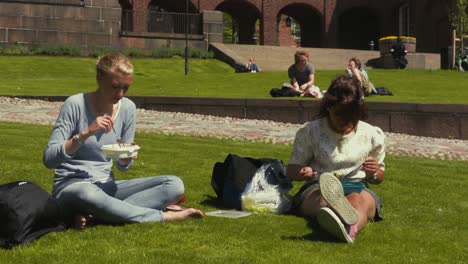 Nahaufnahme-Von-Zwei-Jungen-Frauen,-Die-Auf-Dem-Rasen-Sitzen,-Zu-Mittag-Essen-Und-Sich-Unterhalten,-Während-Sie-Einen-Sonnigen-Und-Windigen-Sommernachmittag-Genießen