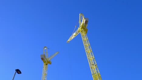 Fantastic-to-see-the-crane-standing-tall-and-proud