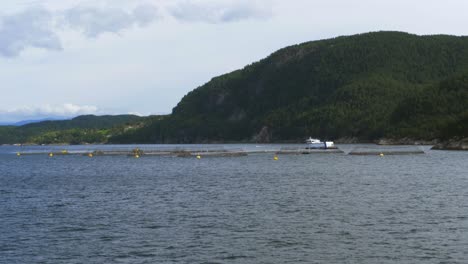 Weitblick-Auf-Eine-Fischfarm-In-Den-Gewässern-Norwegens