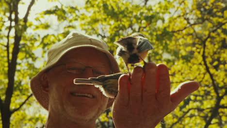 Kleine-Vögel-Fressen-Auf-Der-Handfläche-Eines-Mannes