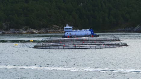 Wide-view-of-an-Atlantic-Salmon-farm-in-a-Norwegian-fjord