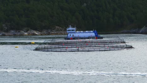 Weitblick-Auf-Eine-Atlantische-Lachsfarm-In-Einem-Norwegischen-Fjord