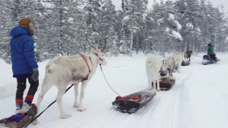 Reindeer-And-Sami-Walking-On-Snowy-Trail
