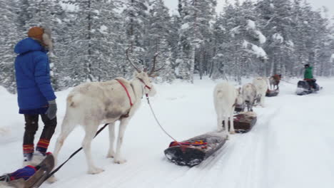 Rentiere-Und-Sami-Wandern-Auf-Verschneiten-Pfaden