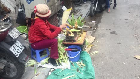 Mujer-Abanicando-Comida-Callejera-En-Hanoi,-Vietnam.