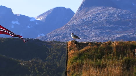 View-of-a-seagull-resting-on-the-peak-of-a-roof-as-the-wind-blows-gently