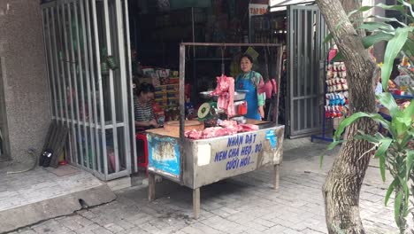 Frau-Fleisch-Straßenverkäufer-In-Da-Nang-Vietnam